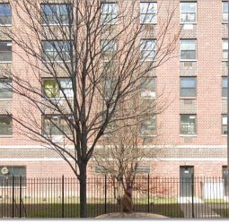 Injury Doctors Now – East Harlem – No-Fault & Worker’s Comp Specialist